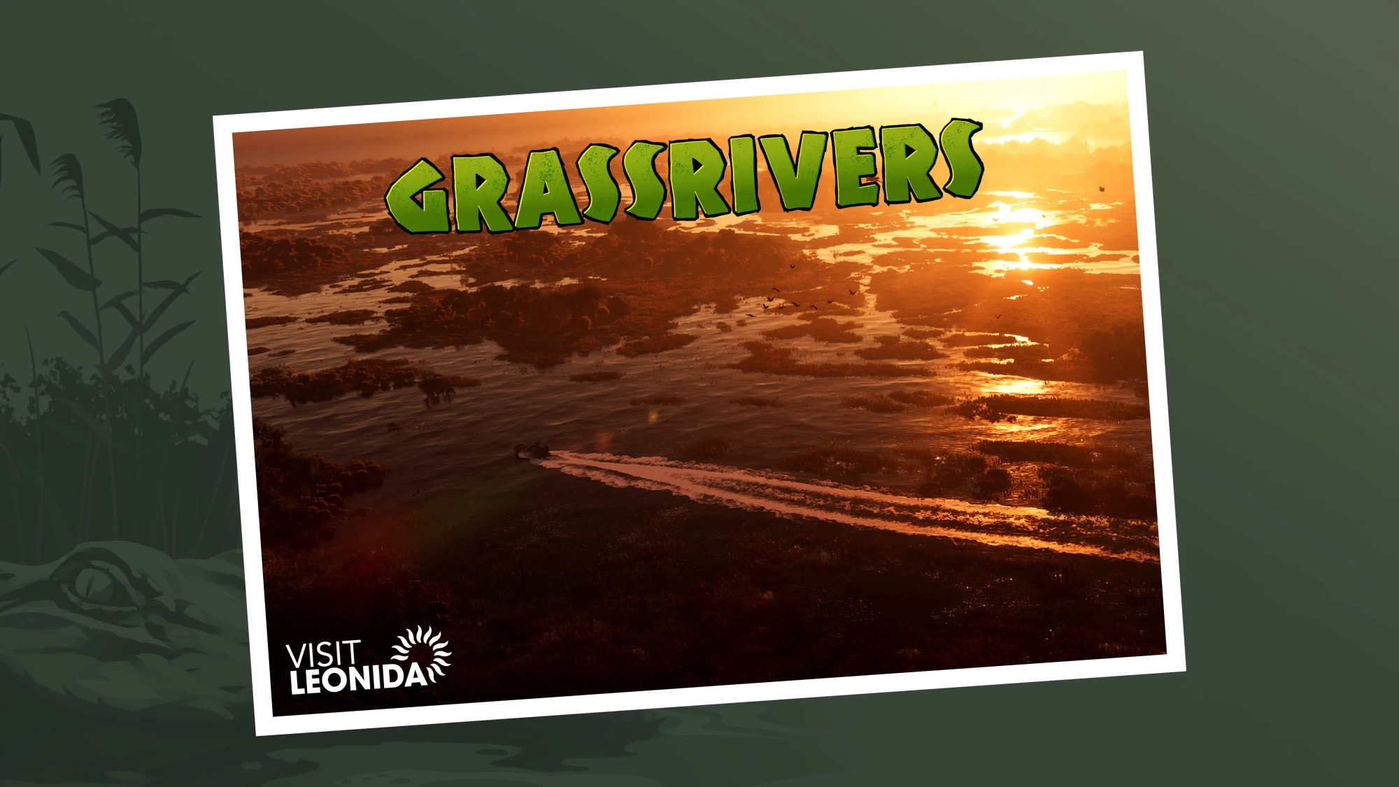 Carte postale officielle de Grassrivers montrant des marécages et la végétation de GTA 6